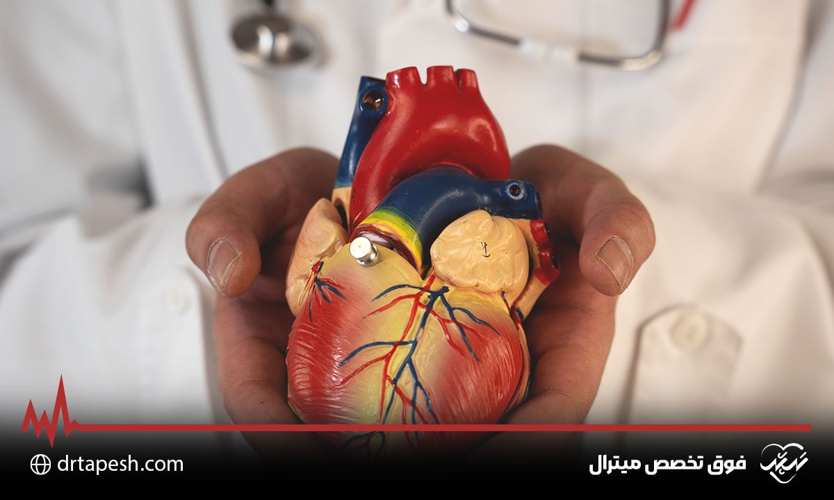 فوق تخصص میترال